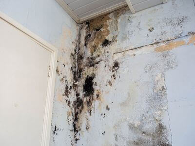 About AquaSure Water Restoration - water damage restoration experts in Topawa, AZ